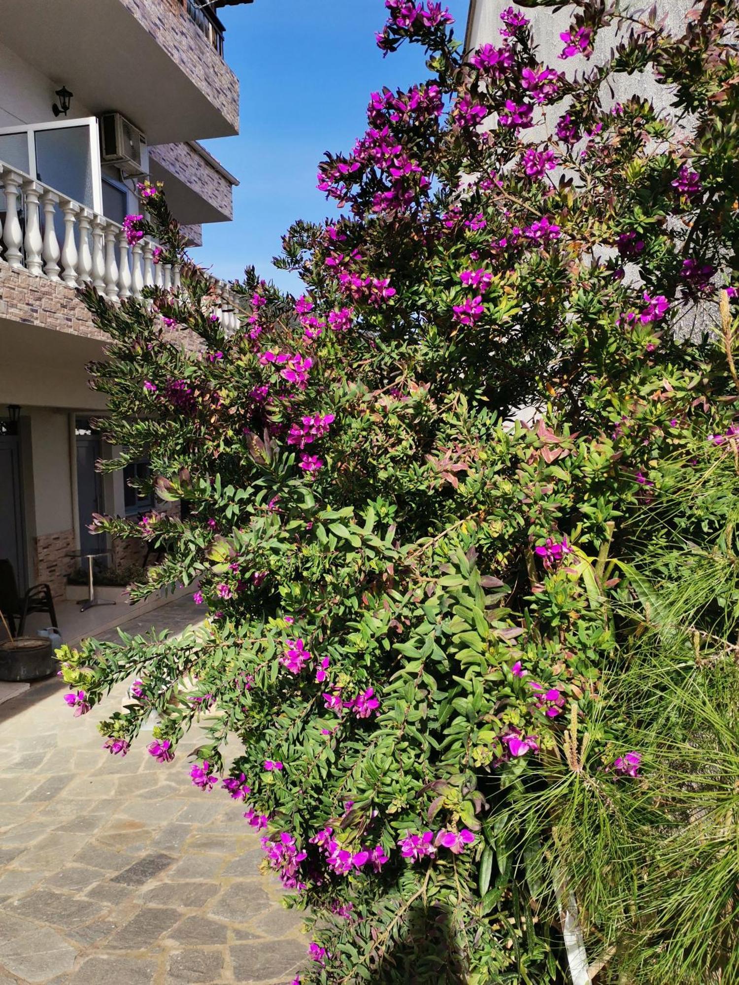 Studios Lia Adults Only -Fully Renovated Chrysi Ammoudia Exterior foto